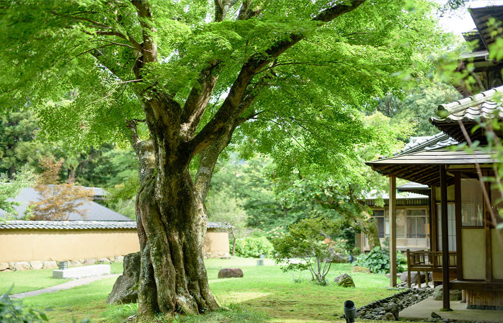 箱根温泉“老舗のお宿　第17位　箱根・翠松園