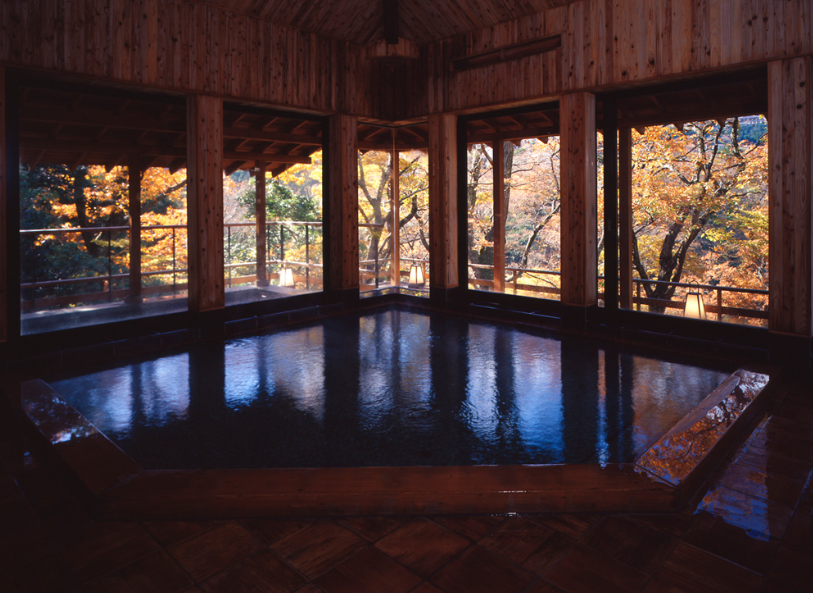 箱根温泉の効能で選ぶおすすめお宿・ホテル第3位：四季の湯座敷 武蔵野別館 