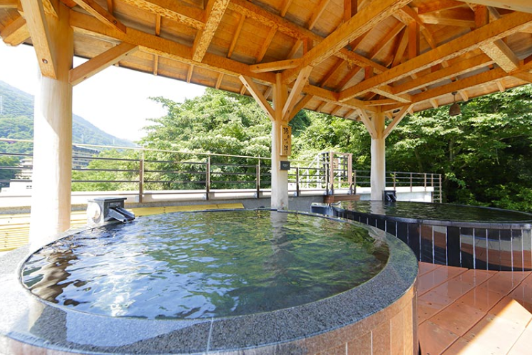 箱根温泉の穴場第4位：天成園 