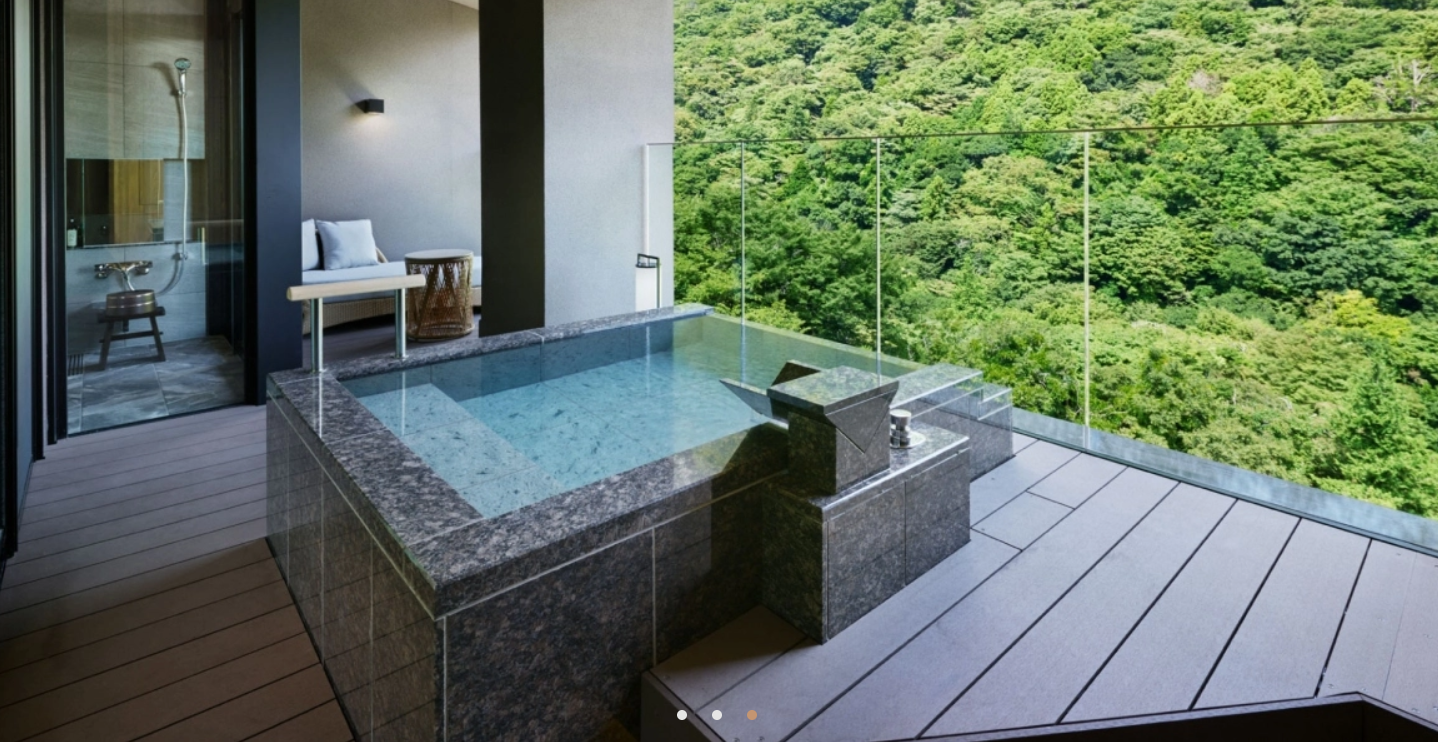 箱根温泉で新しいお宿ホテル第6位：はつはな 