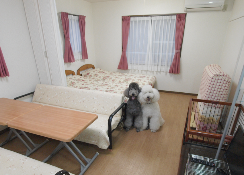 草津温泉でペットと泊まれるお宿・お出かけスポット第4位：ペットと泊まれる宿　コンドミニアム　フラットレット 