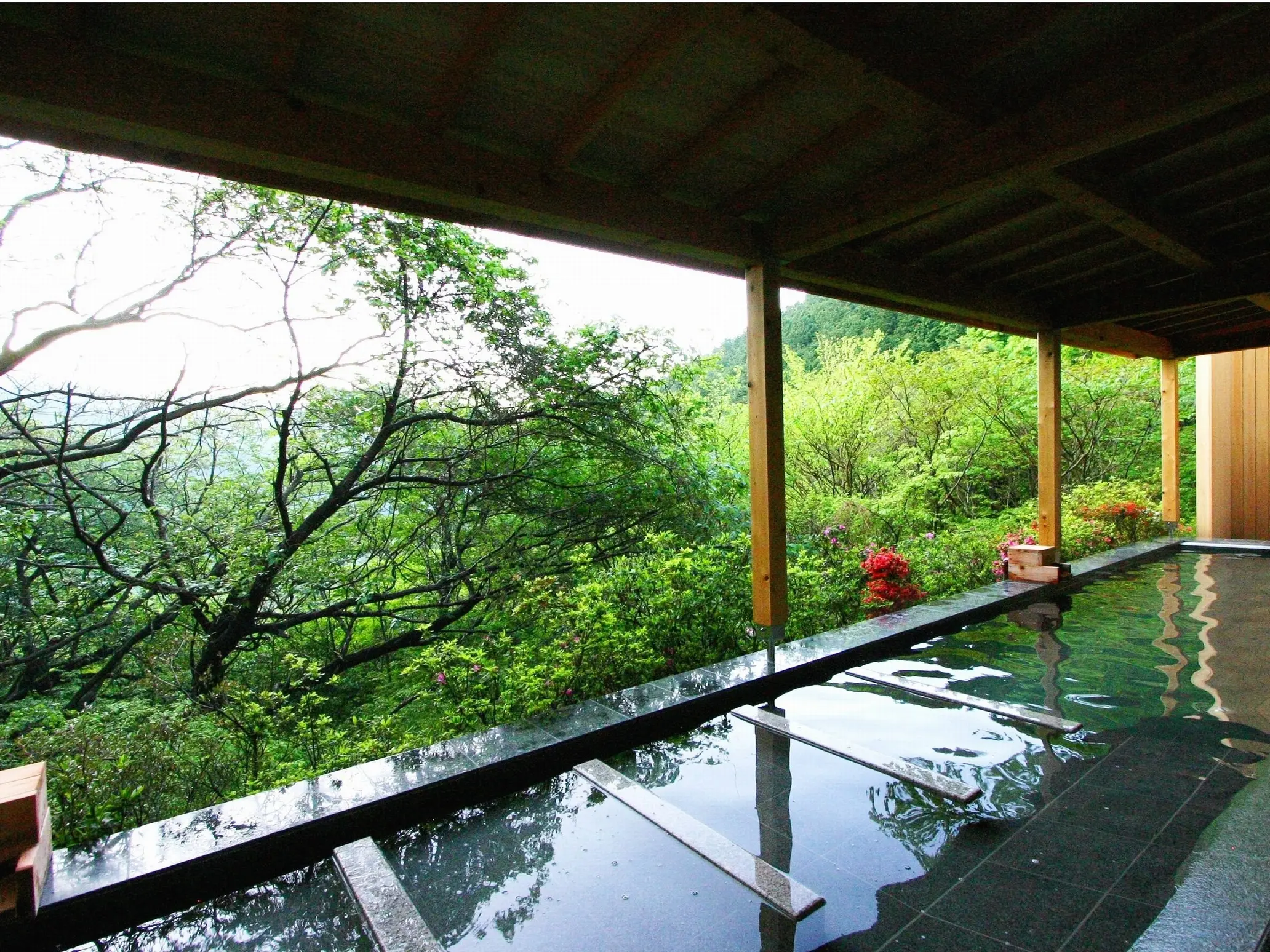 熱海温泉の秋を満喫できるおすすめ宿：第8位　熱海　森の温泉ホテル