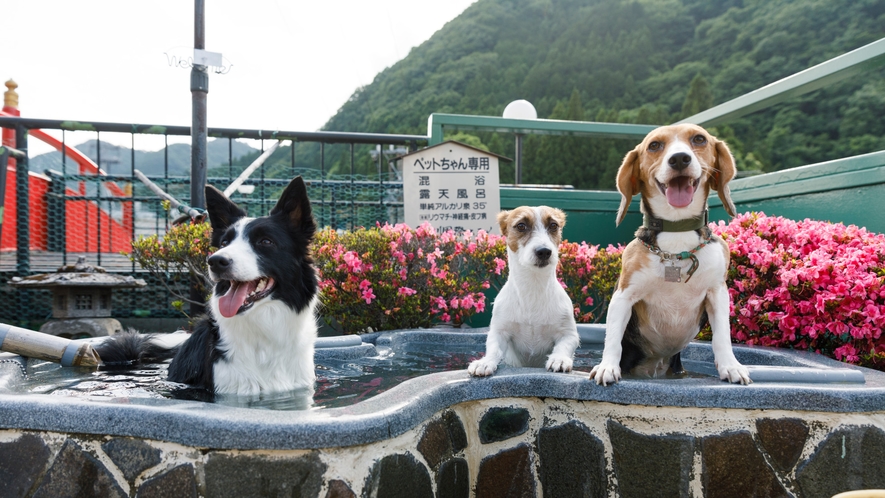 鬼怒川温泉の一度は泊まりたい！おすすめ高級宿：第15位　 きぬ川国際ホテル2