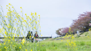 箱根温泉、春休みに行きたい！おすすめスポット10選